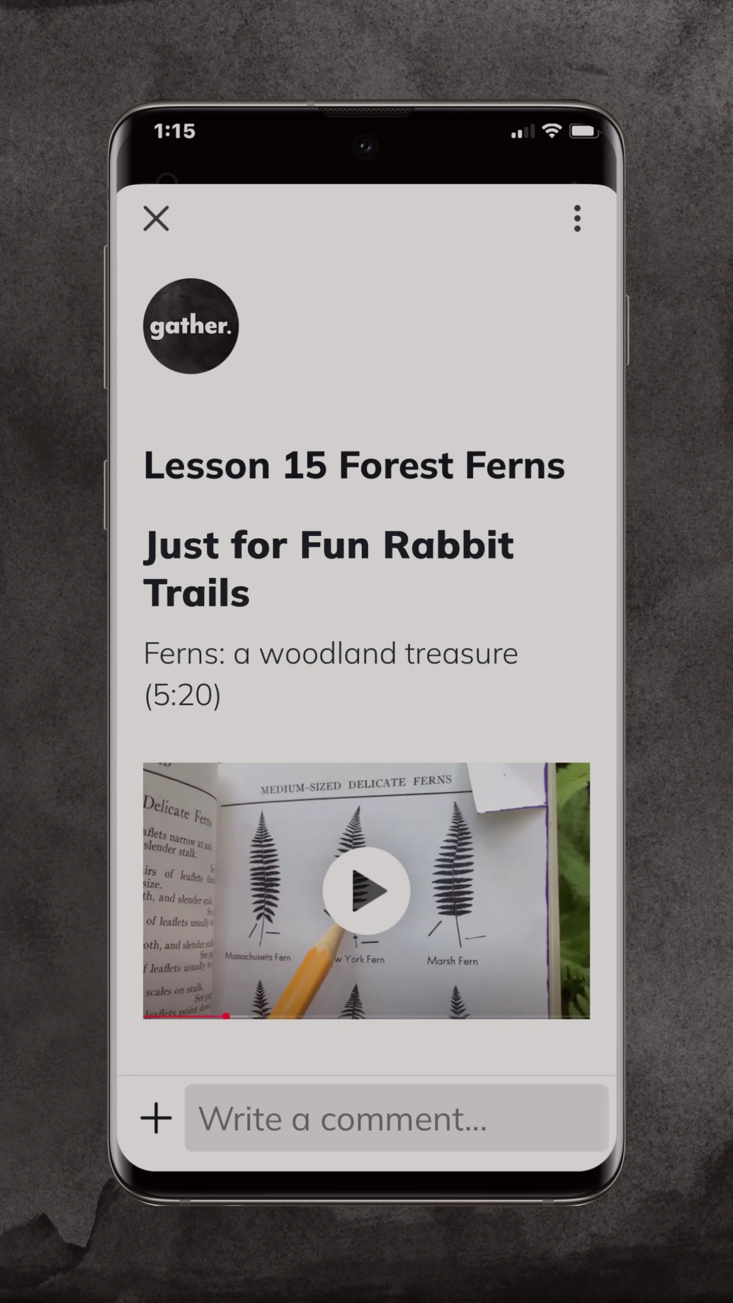 Gather ‘Round Homeschool screenshot